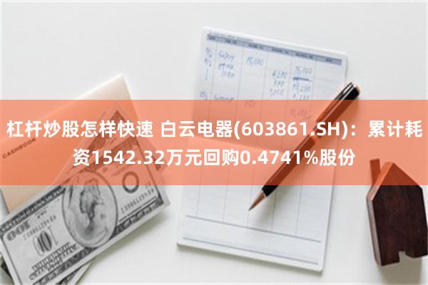 杠杆炒股怎样快速 白云电器(603861.SH)：累计耗资1542.32万元回购0.4741%股份