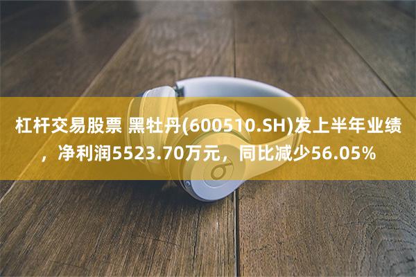 杠杆交易股票 黑牡丹(600510.SH)发上半年业绩，净利润5523.70万元，同比减少56.05%