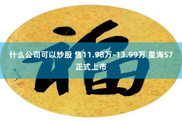 什么公司可以炒股 售11.98万-13.99万 星海S7正式上市