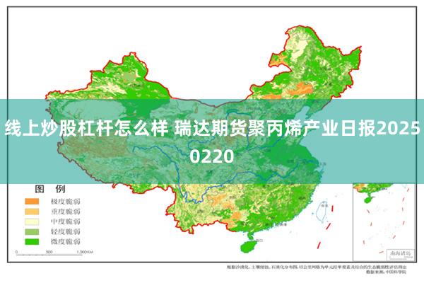 线上炒股杠杆怎么样 瑞达期货聚丙烯产业日报20250220