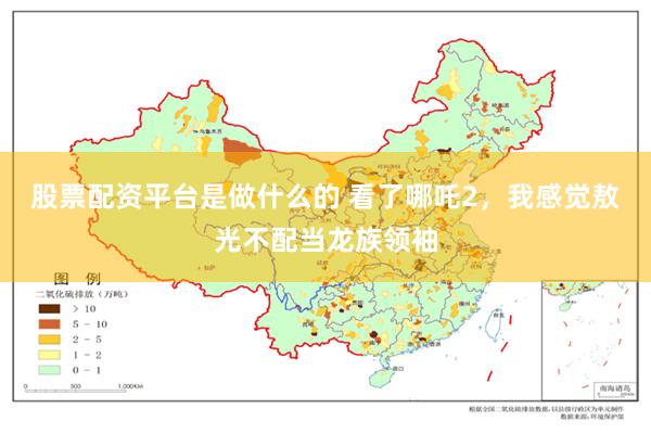 股票配资平台是做什么的 看了哪吒2，我感觉敖光不配当龙族领袖